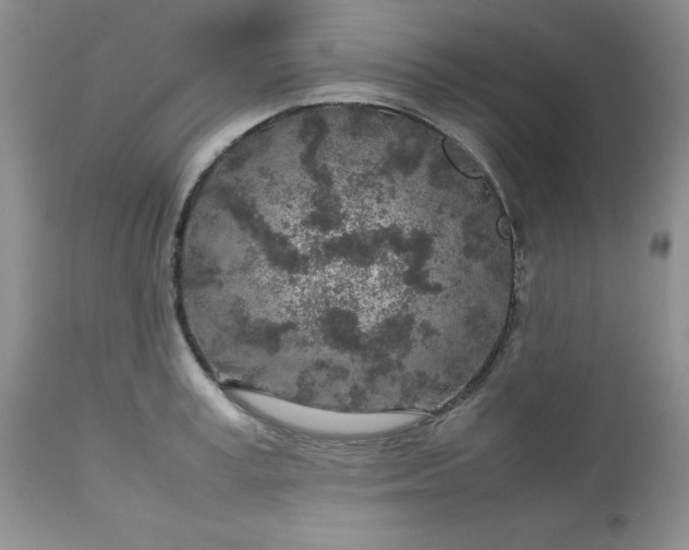 X0000112750995200909101535