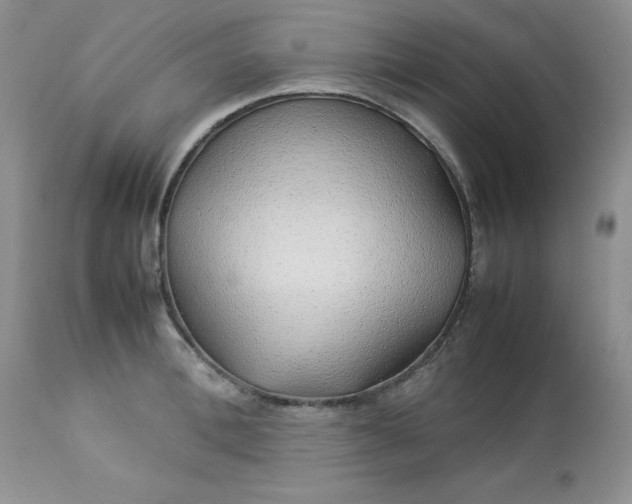 X0000112750996200909101535