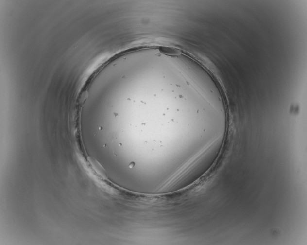 X0000112750997200909101535