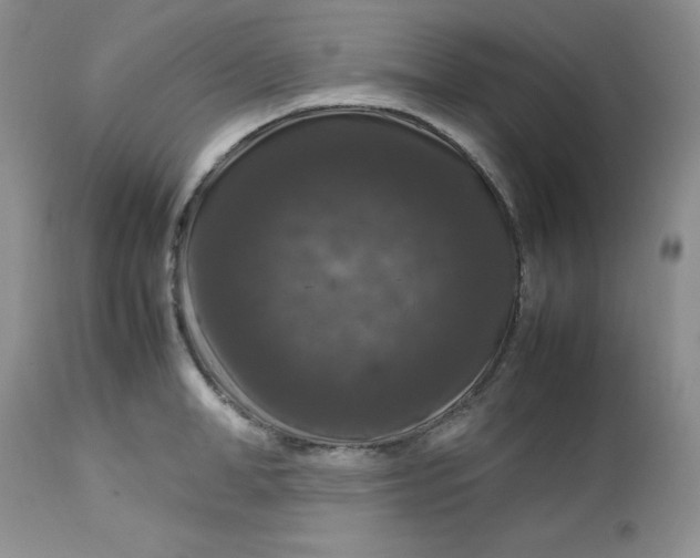 X0000112750998200909101535