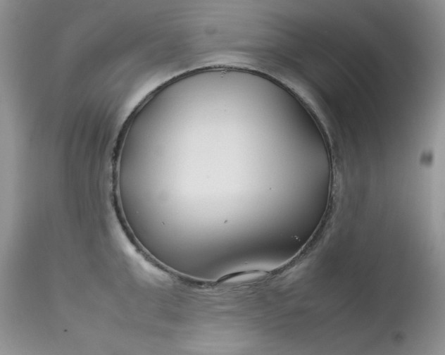 X0000112750999200909101535