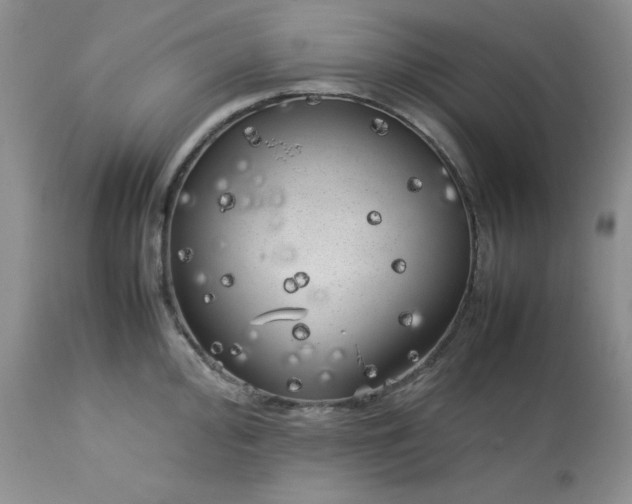 X0000112751000200909101535