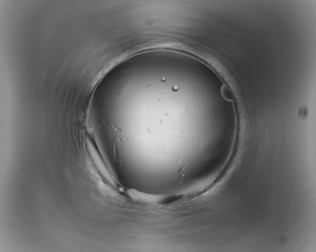 X0000112751001200909101535