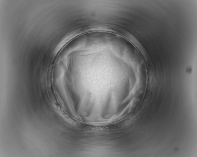 X0000112751002200909101535