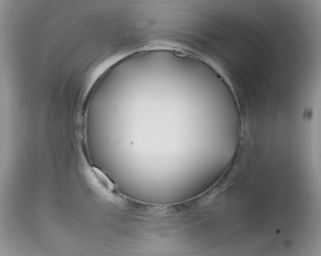 X0000112751003200909101535