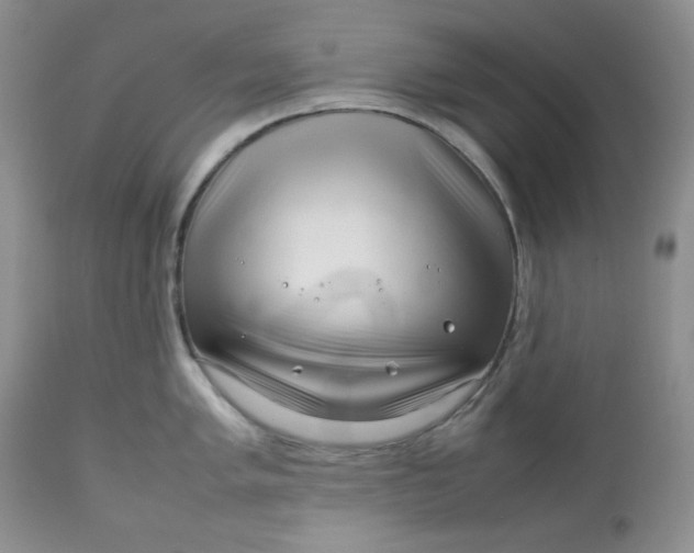 X0000112751005200909101535