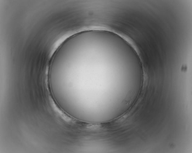 X0000112751006200909101535