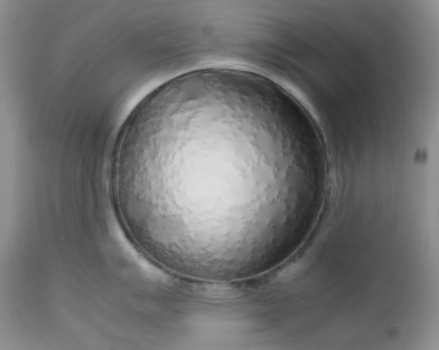 X0000112751007200909101535