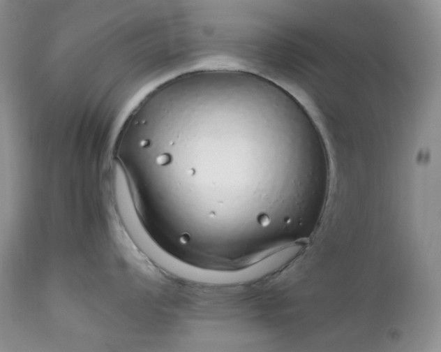 X0000112751008200909101535