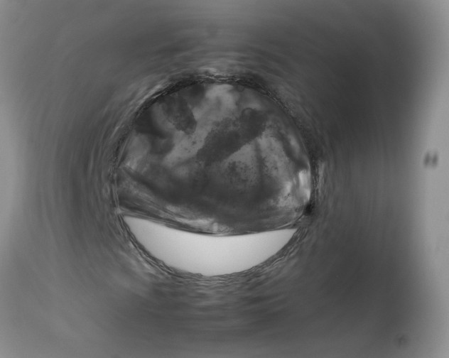 X0000112751009200909101535