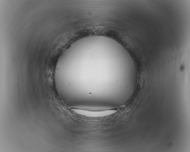 X0000112751010200909101535