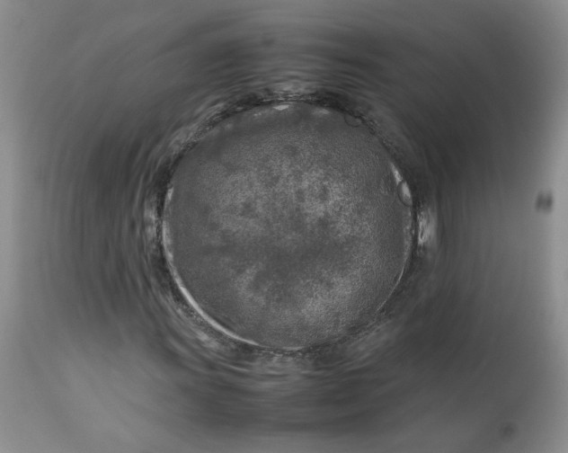 X0000112751011200909101535