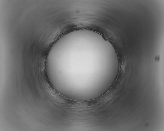 X0000112751012200909101535