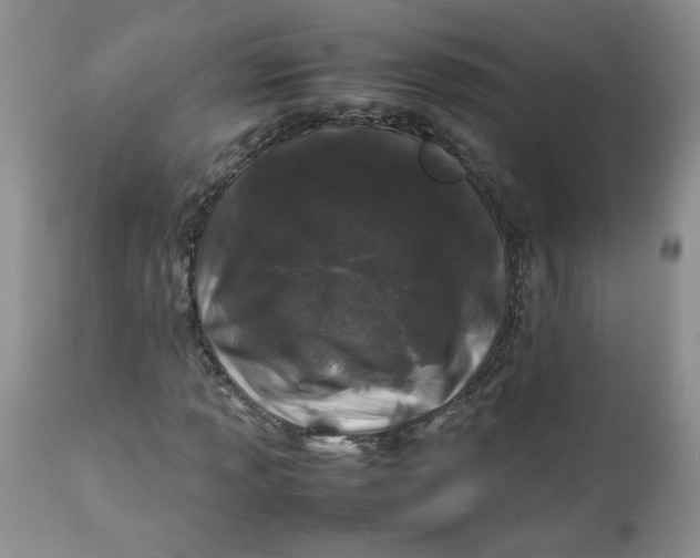 X0000112751013200909101535