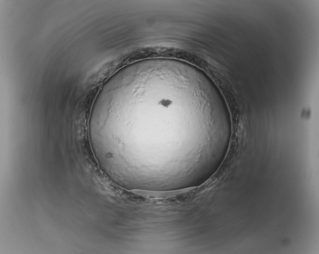 X0000112751014200909101535