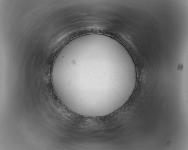 X0000112751015200909101535