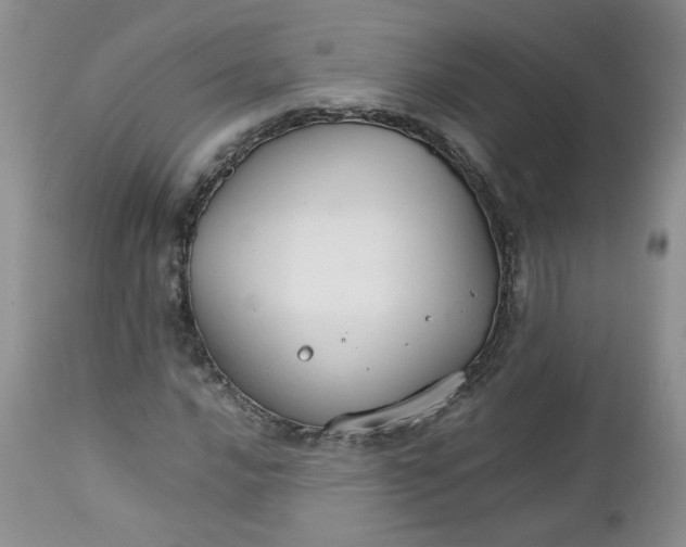 X0000112751016200909101535