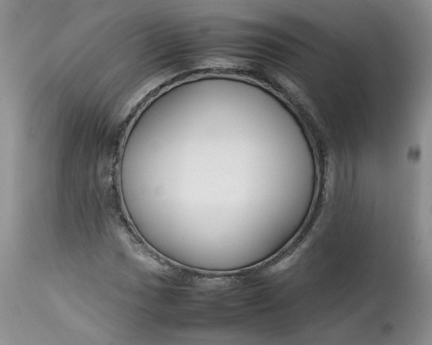 X0000112751017200909101535