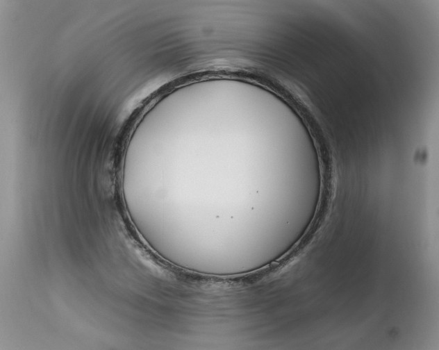 X0000112751018200909101535