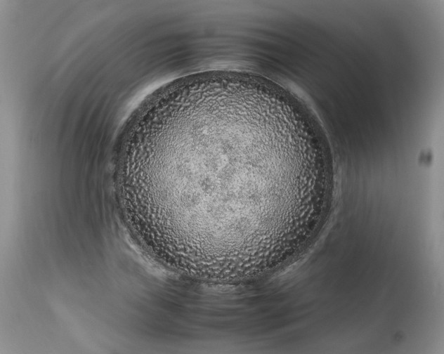 X0000112751019200909101535