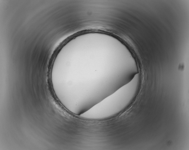 X0000112751020200909101535