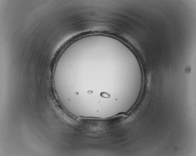 X0000112751021200909101535