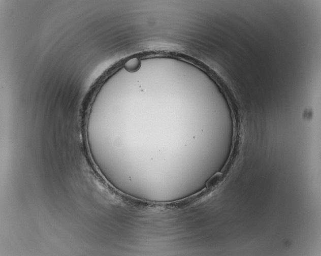 X0000112751022200909101535