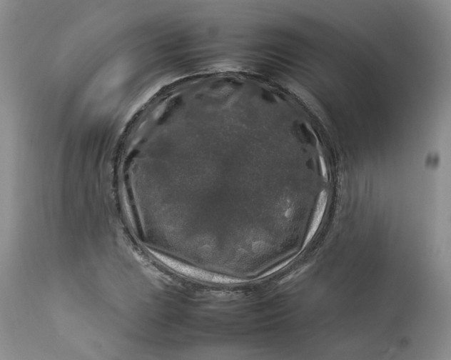 X0000112751023200909101535