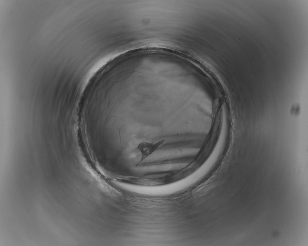 X0000112751024200909101535