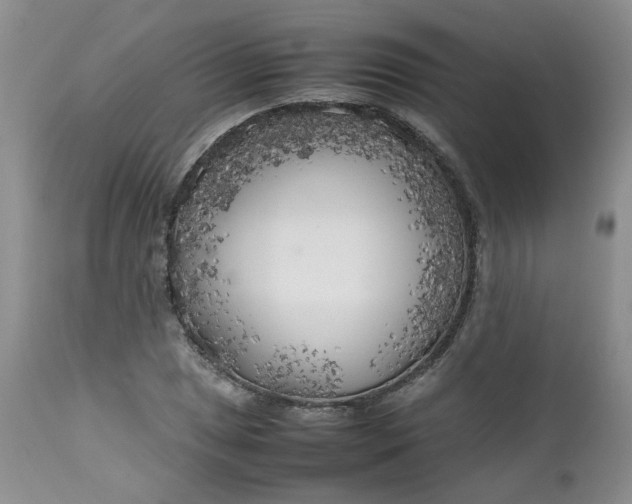 X0000112751025200909101535