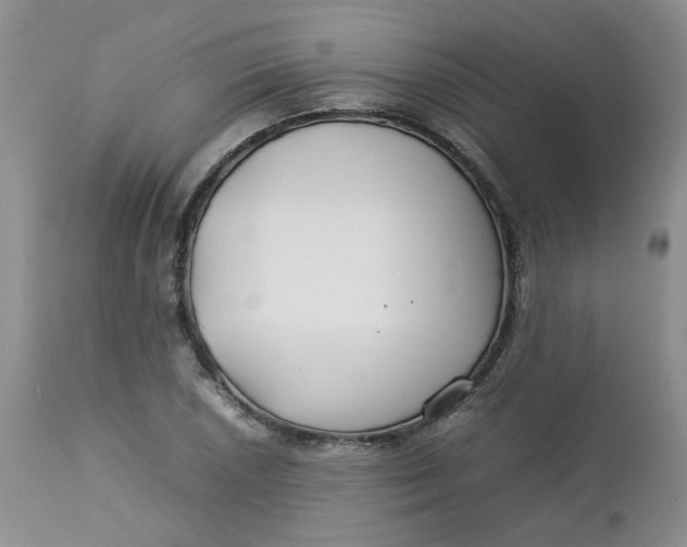 X0000112751026200909101535