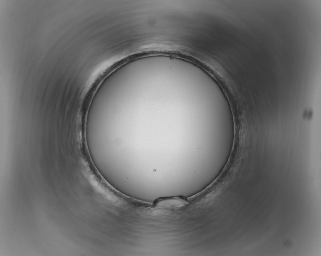 X0000112751030200909101535