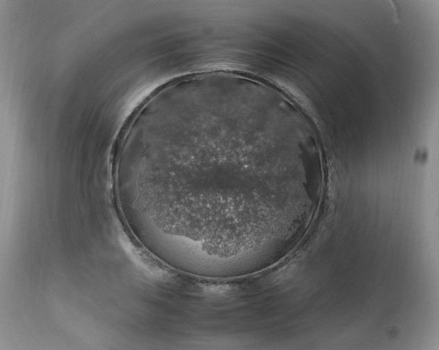 X0000112751031200909101535