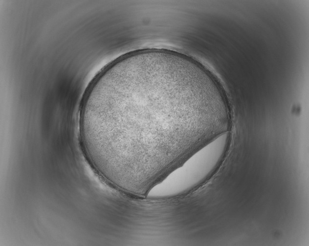 X0000112751032200909101535