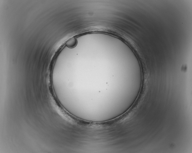 X0000112751034200909101535