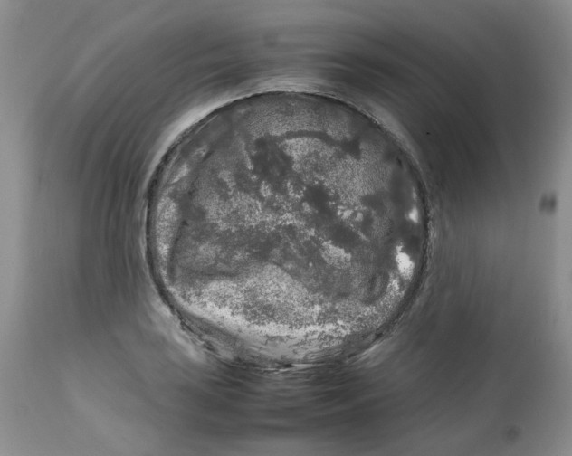 X0000112751035200909101535