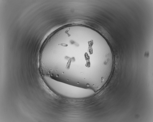 X0000112751036200909101535