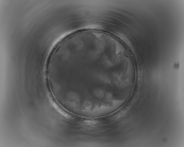 X0000112751037200909101535