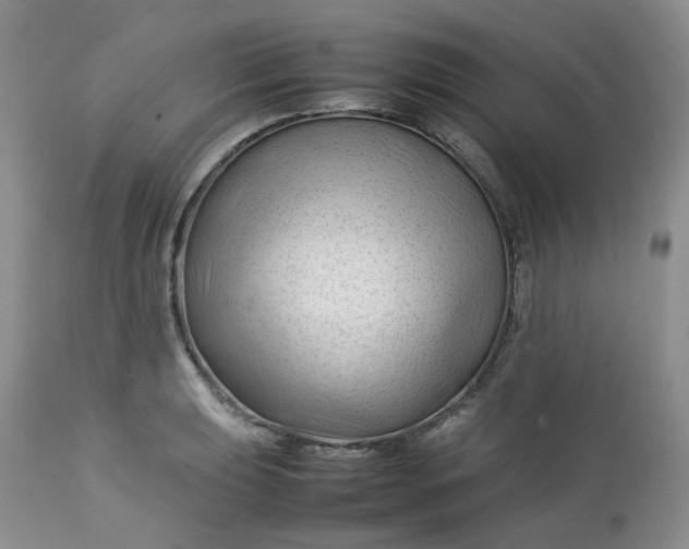 X0000112751039200909101535