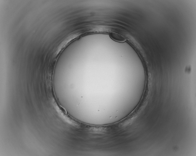 X0000112751041200909101535