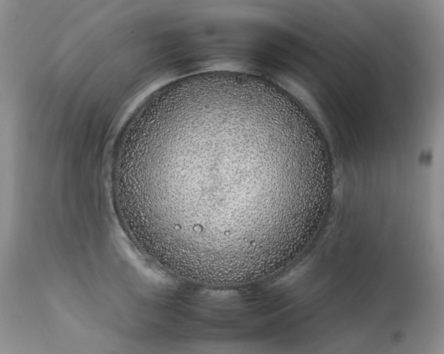 X0000112751043200909101535