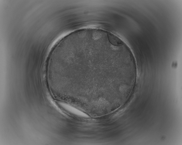 X0000112751045200909101535