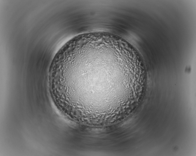 X0000112751047200909101535