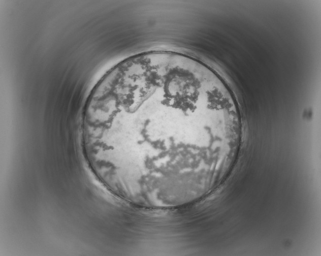 X0000112751048200909101535