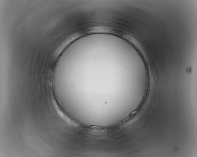 X0000112751049200909101535