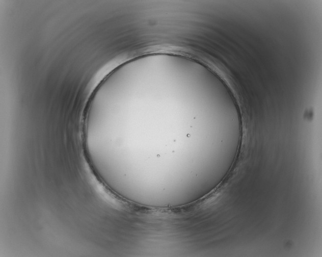 X0000112751050200909101535