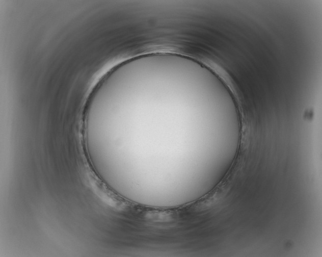 X0000112751051200909101535