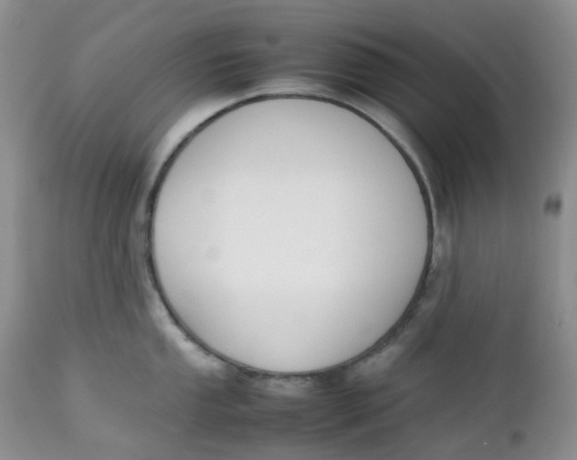 X0000112751053200909101535