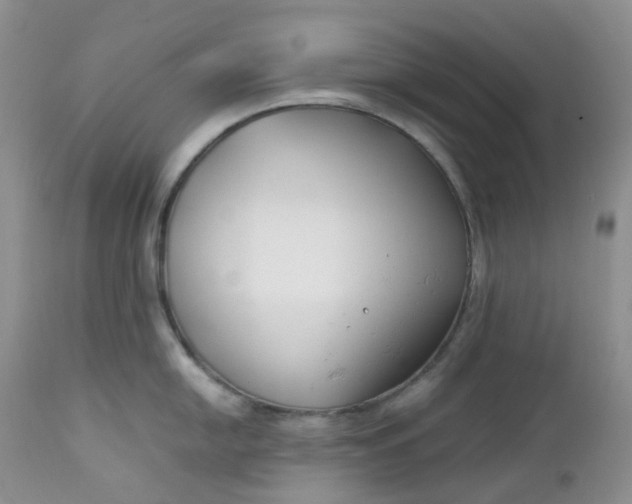 X0000112751054200909101535