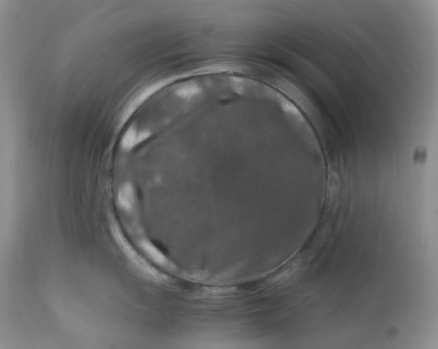 X0000112751055200909101535